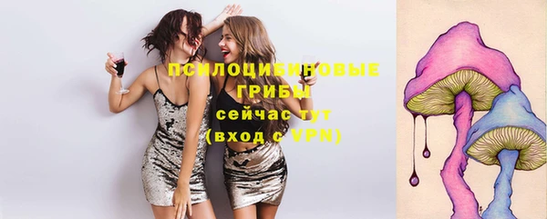 apvp Остров