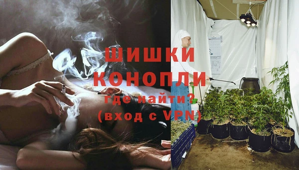 винт Няндома