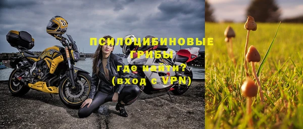 apvp Остров