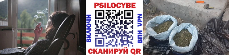 Галлюциногенные грибы Psilocybine cubensis  Радужный 